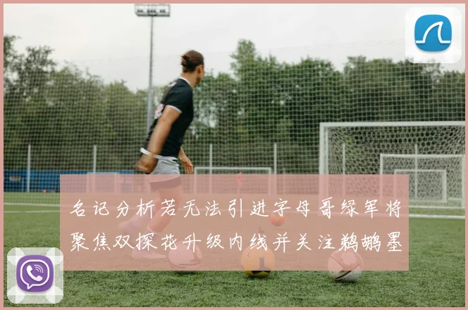 名记分析若无法引进字母哥绿军将聚焦双探花升级内线并关注鹈鹕墨菲