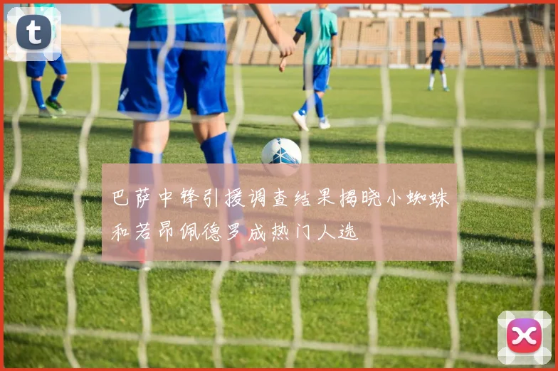 巴萨中锋引援调查结果揭晓小蜘蛛和若昂佩德罗成热门人选